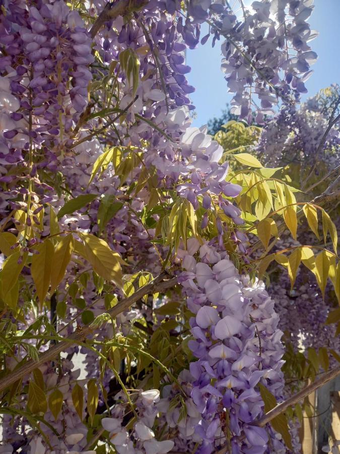 Lilac House Corfu  Extérieur photo